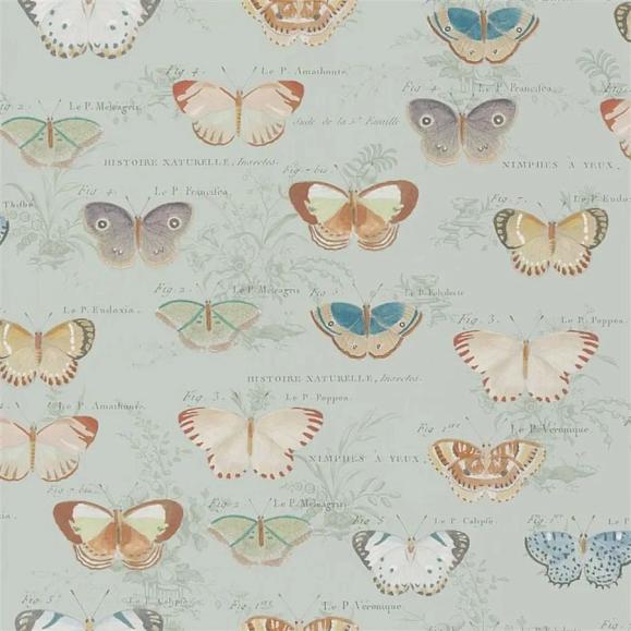 Обои John Derian PJD6017/03 Butterfly Studies Eau de Nil