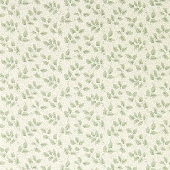 Обои Sanderson DSAB217419 Willow Tomato Leaf