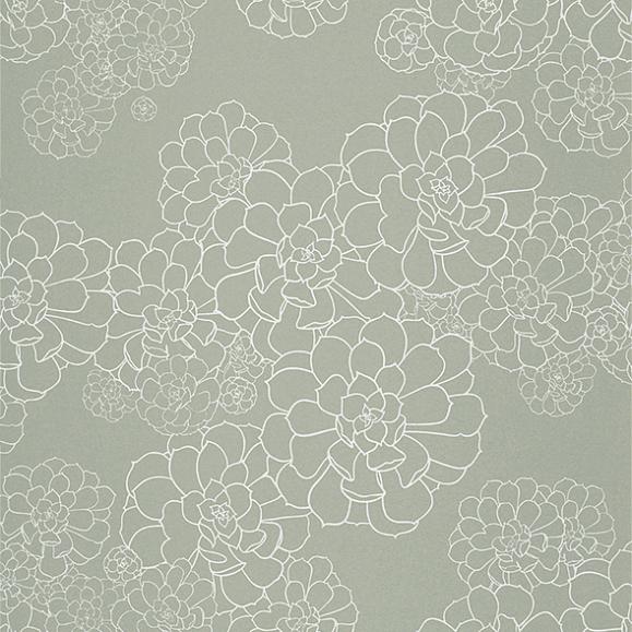 Обои Paint & Paper Library 0393AESTEEL Aeonium Steel
