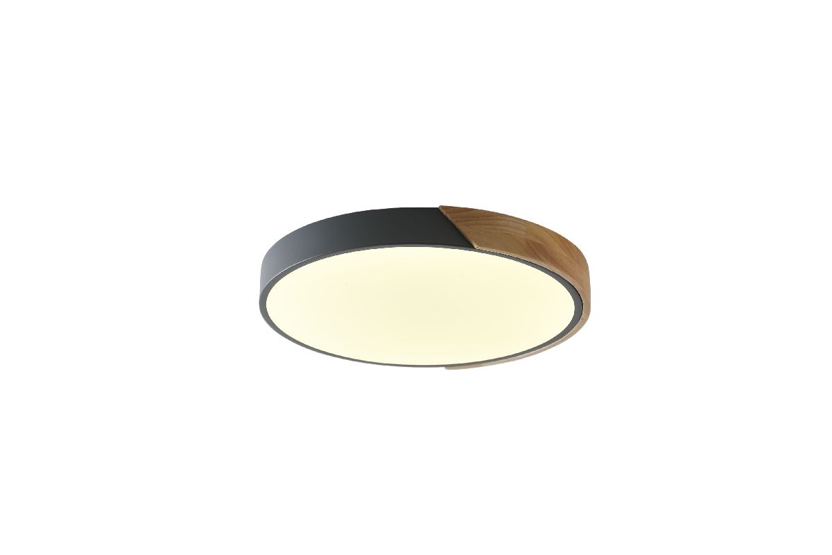 Потолочный светильник Zortes Alberro ZRS.01280.90