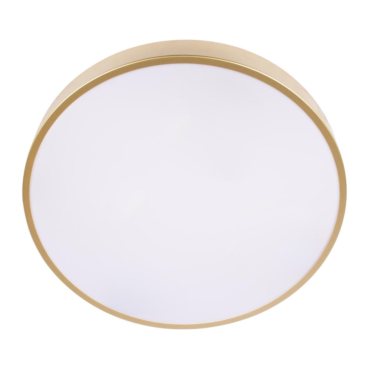 Потолочный светильник Loft IT Flims 10228/A