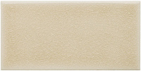 ADEX OCEAN Sand Dollar