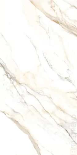 White Marbles Dorian matt 60x120