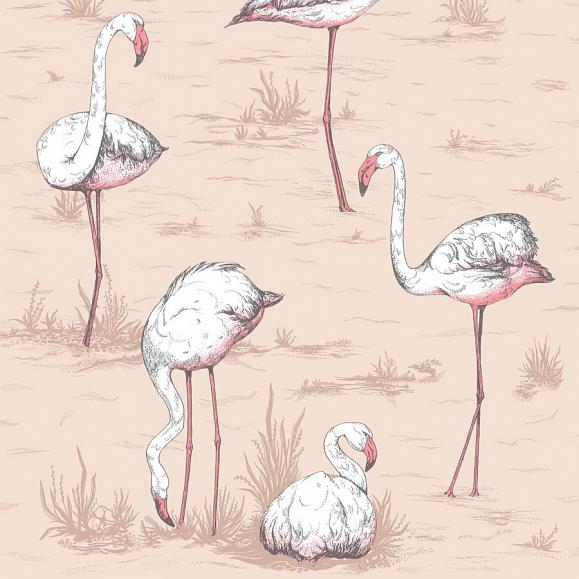 Обои Cole & Son 112/11039 Flamingos