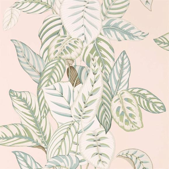 Обои Sanderson 216632 Calathea Orchid/Eucalyptus