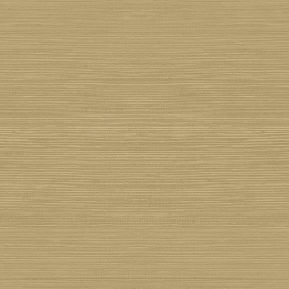 Обои Jaima Brown JB22315