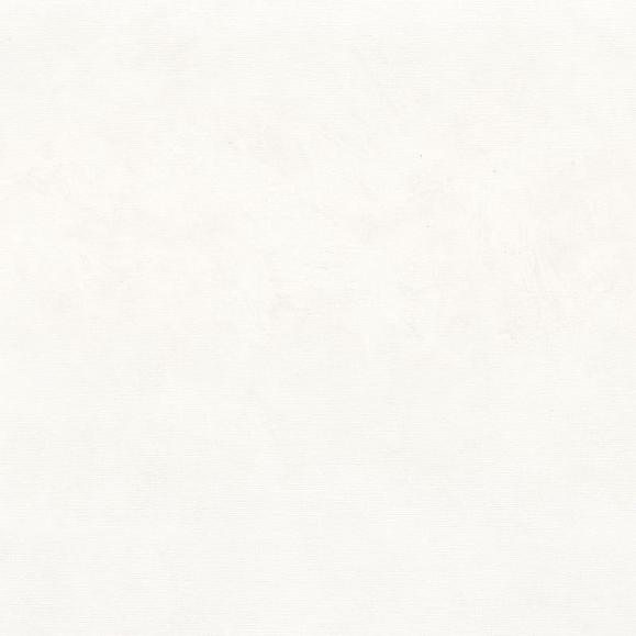 Обои Casamance 75494588 Argile Blanc optique