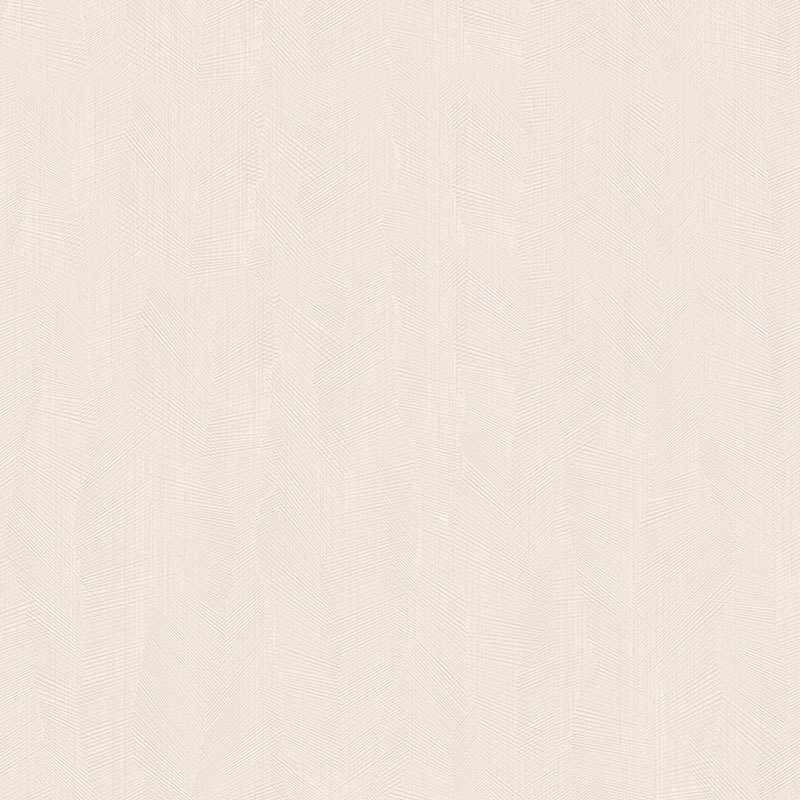 Z54541