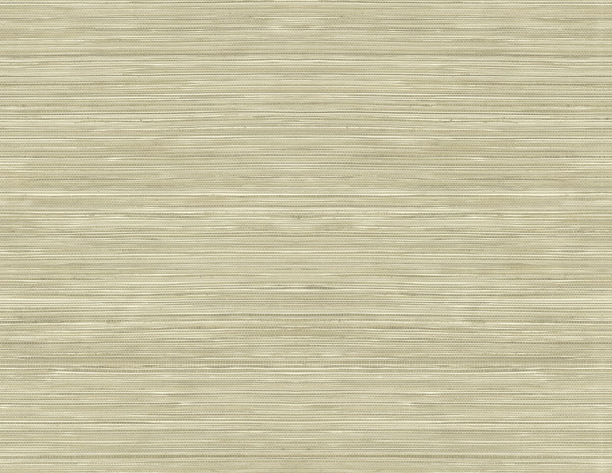 RC10317