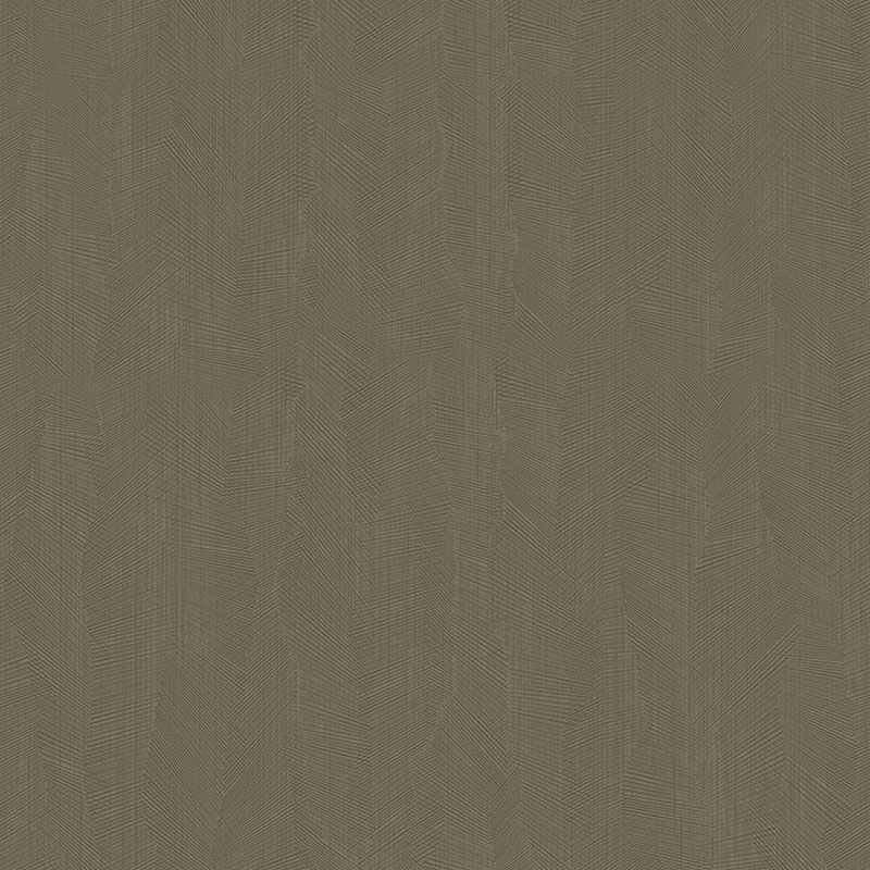 Z54544