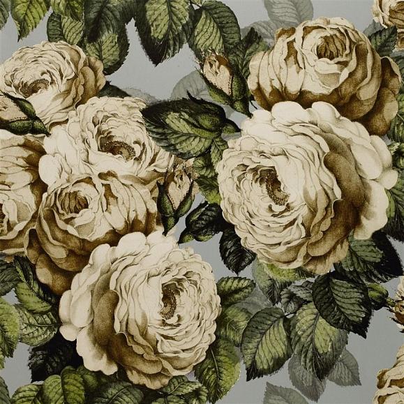 Обои John Derian PJD6002/06 The Rose Steel