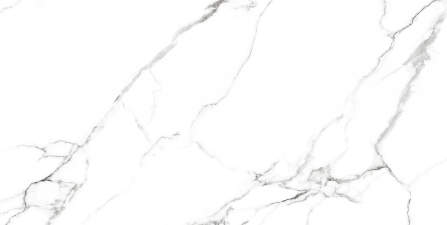 Mckinley Polished CV20222