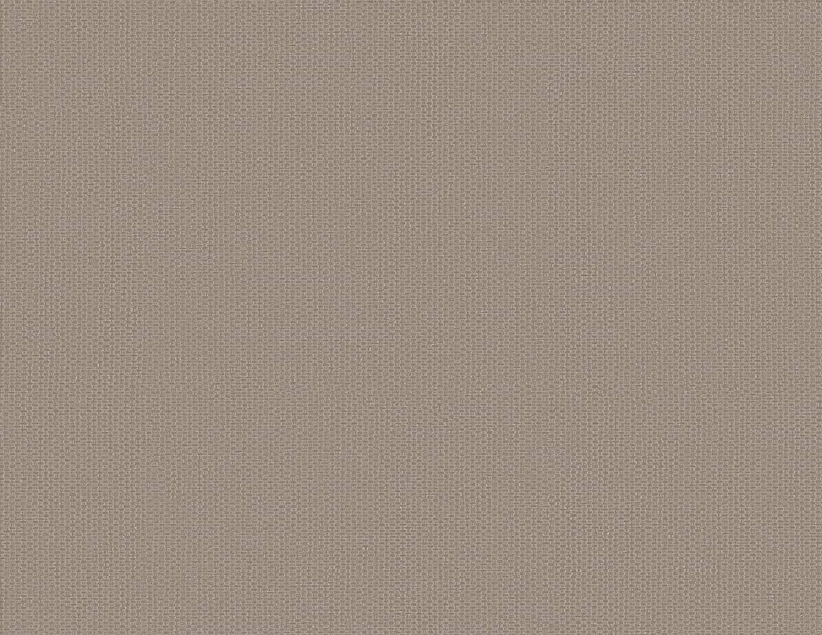 RC10827