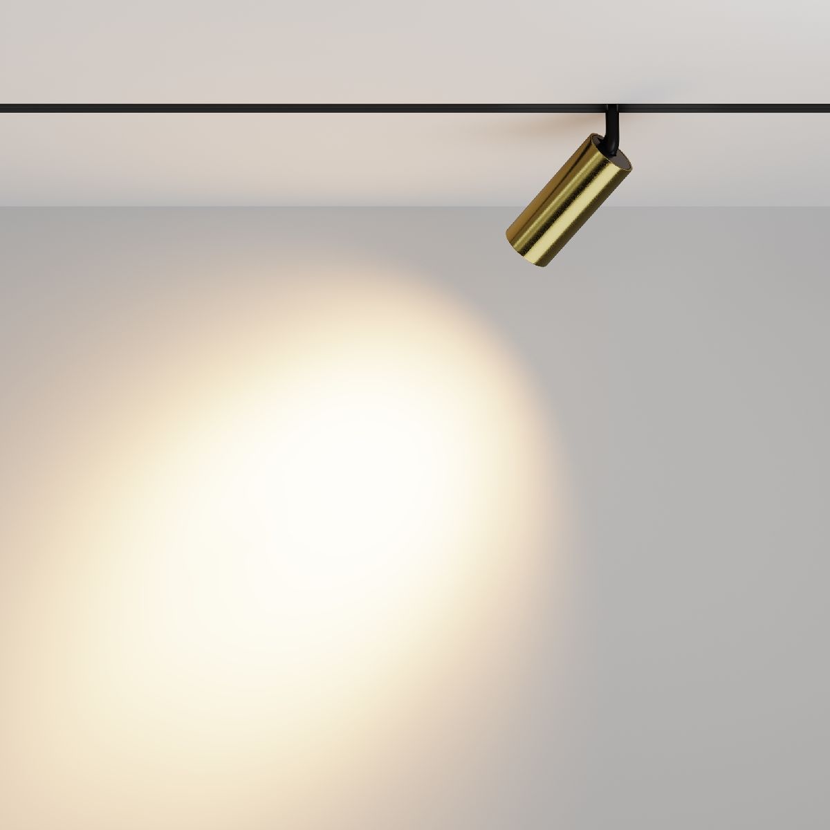 Трековый магнитный светильник Maytoni Focus Led TR032-2-12W3K-M-BBS