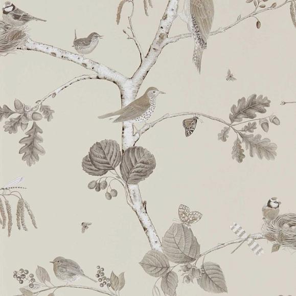 Обои Sanderson DWOW215704 Sepia/Neutral Woodland Chorus