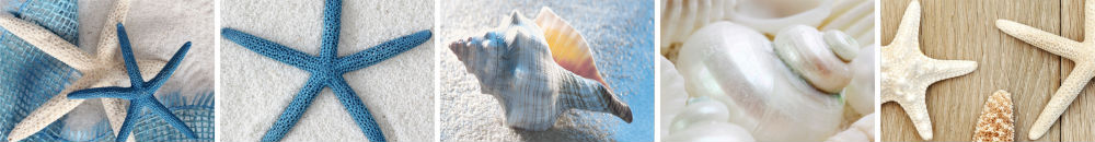 Бордюр Regalos Del Mar Listwa B