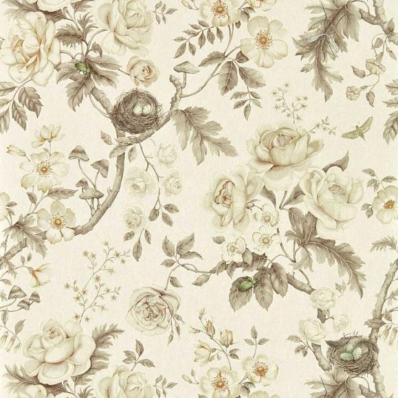 Обои Sanderson 217315 Tansy Bloom Oyster