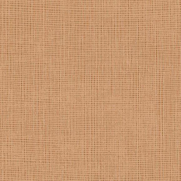 Обои Arte 73090A Tulle Ginger