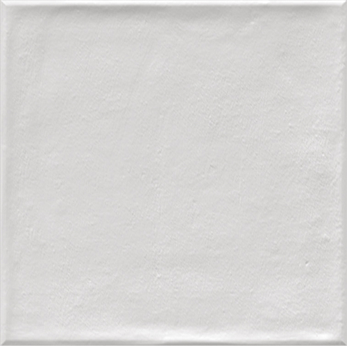 Etnia Blanco 20Х20