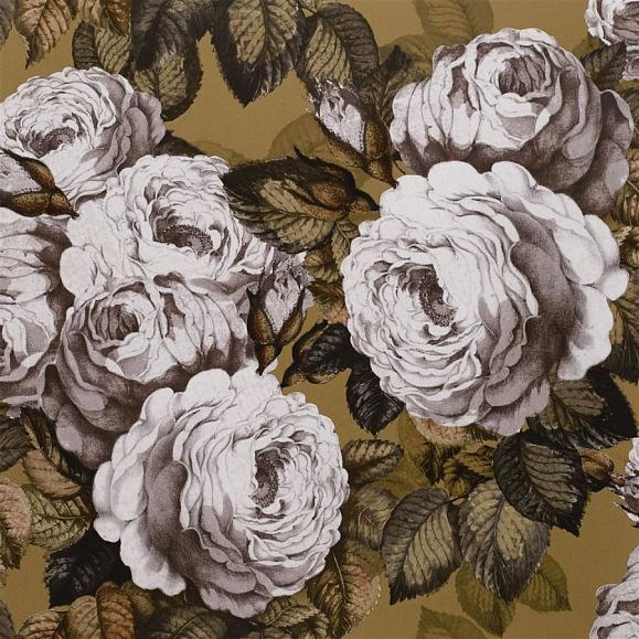 Обои John Derian PJD6002/04 The Rose Copper