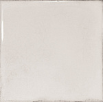 SPLENDOURS WHITE 15х15