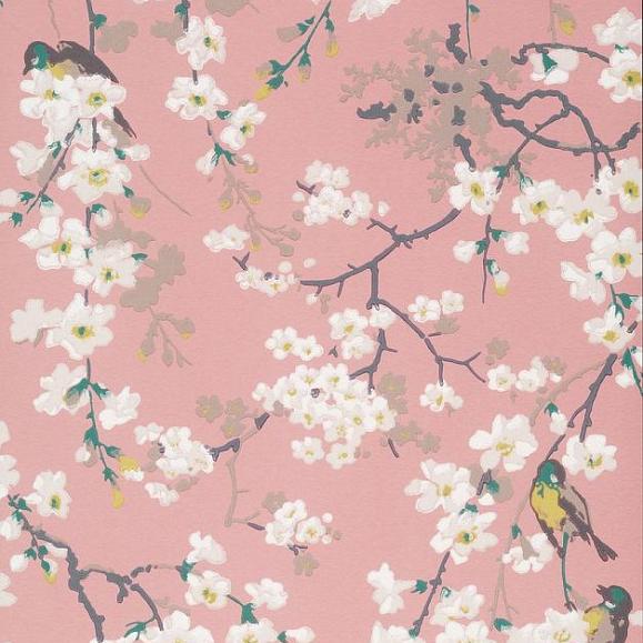 Обои Little Greene 0260MAORIEN Massingberd Blossom Oriental