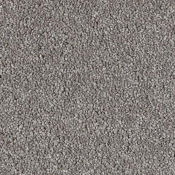 Ковровое покрытие Soft Distinction 042
