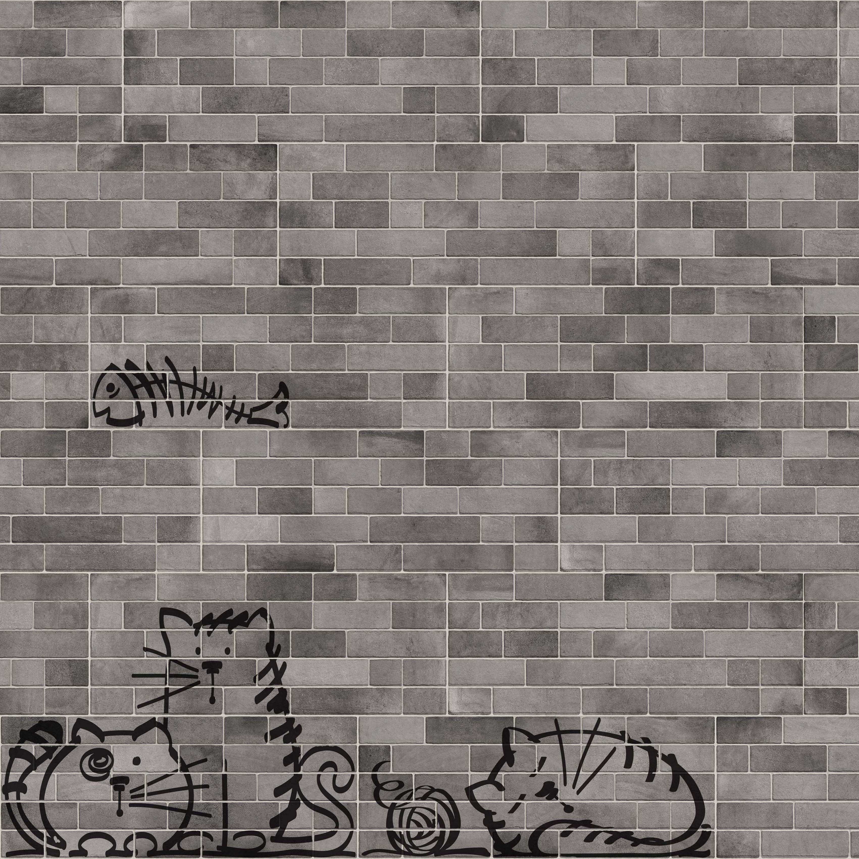 Nuney-4 Grafito