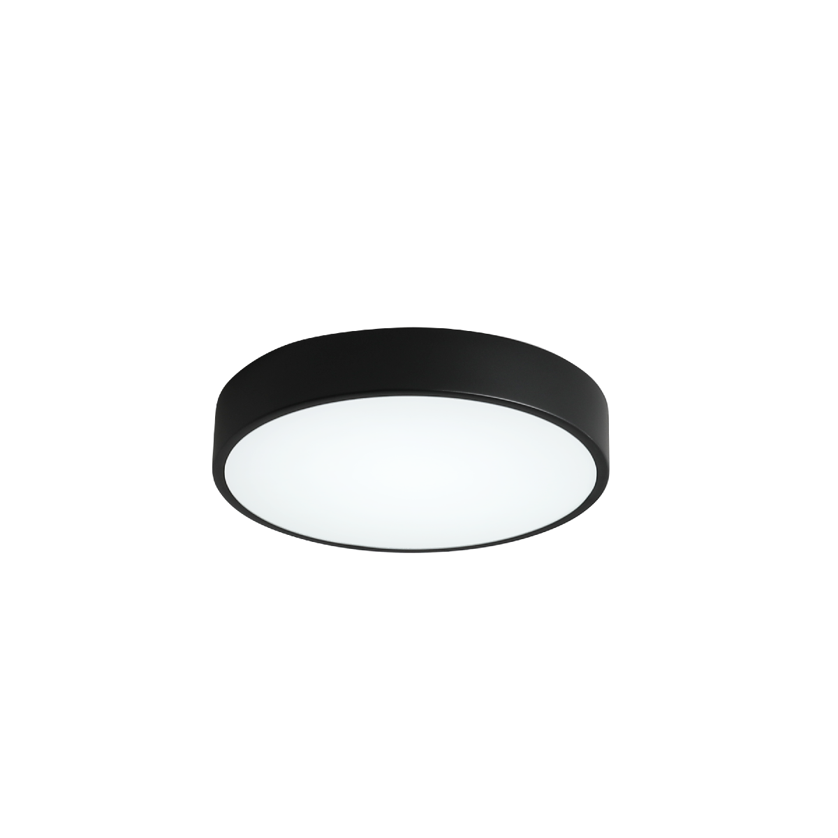 Потолочный светильник Zortes Tortty ZRS.02563.48
