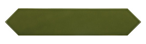 EQUIPE ARROW Green Kelp