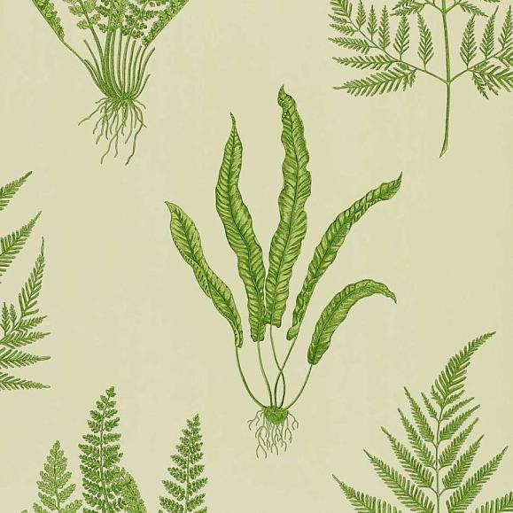 Обои Sanderson DAPGWO102 Green Woodland Ferns