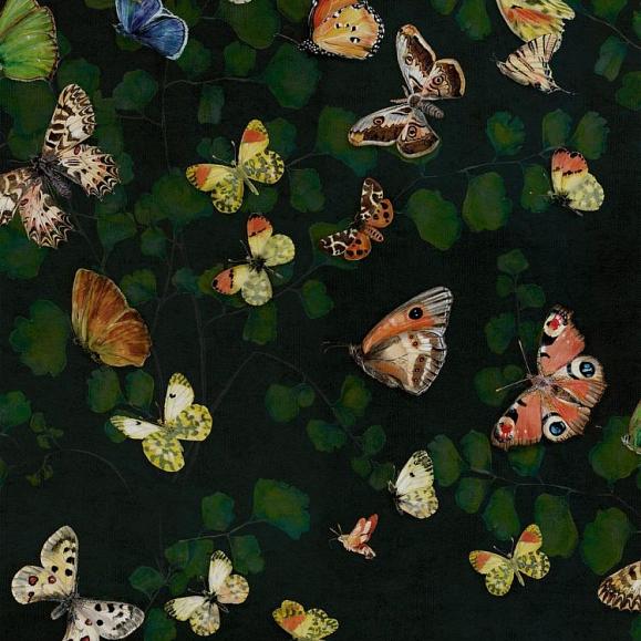 Обои Coordonne 9500050V Magic Butterflies Night