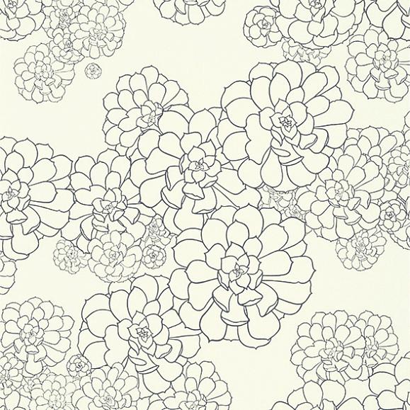 Обои Paint & Paper Library 0393AECLEAN Aeonium Clean White