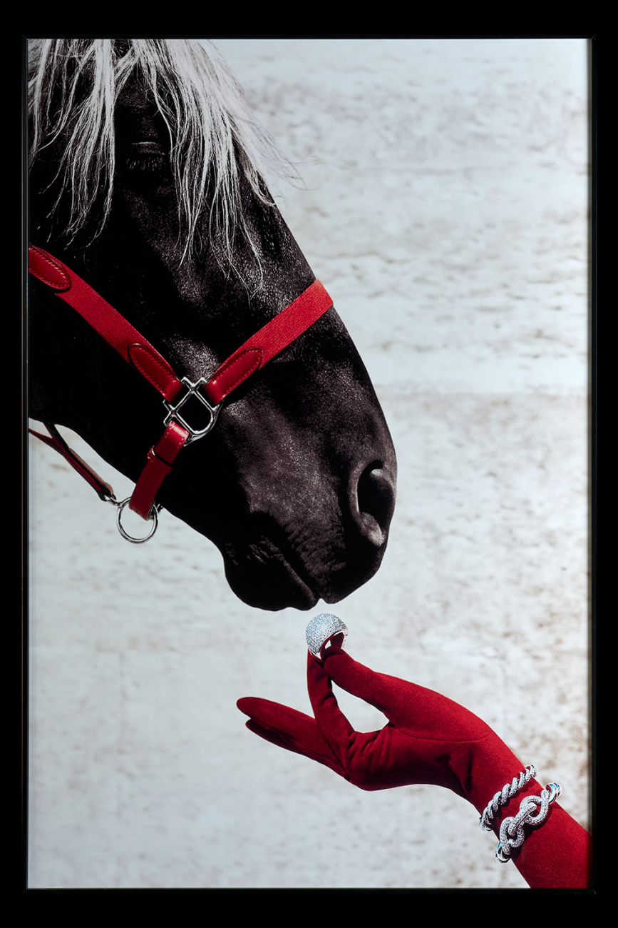 Картина Horse TD249