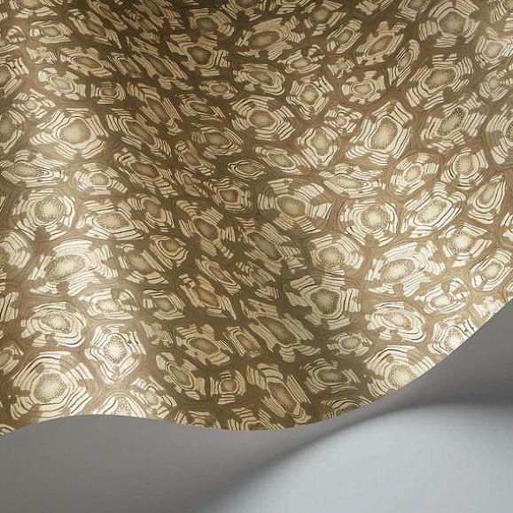 Обои Cole & Son 119/4020 Savanna Shell