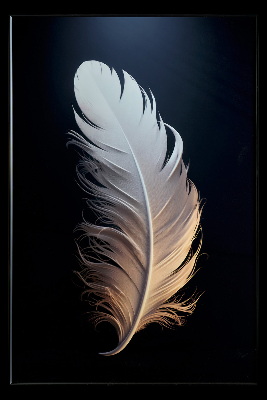 Картина Feather TD285