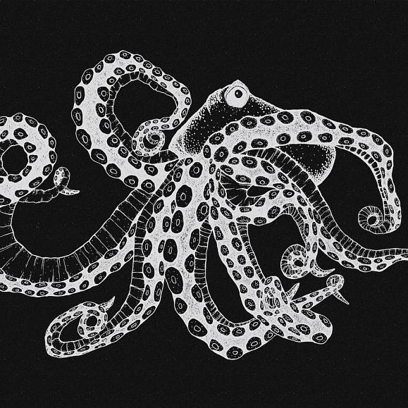 Панно Coordonne 9500802N Octopus X-Ray Black