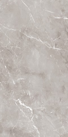 EPOQUE GREY 60x120 lap