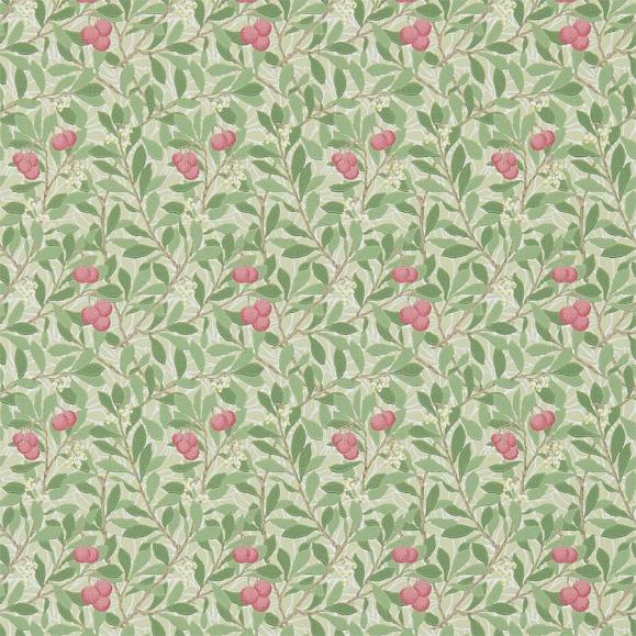 Обои Morris 214720 Arbutus Olive/Pink