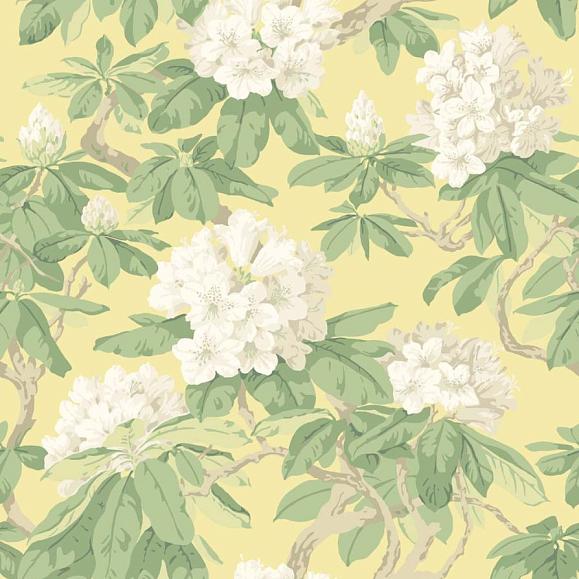 Обои Cole & Son 99/4021 Bourlie