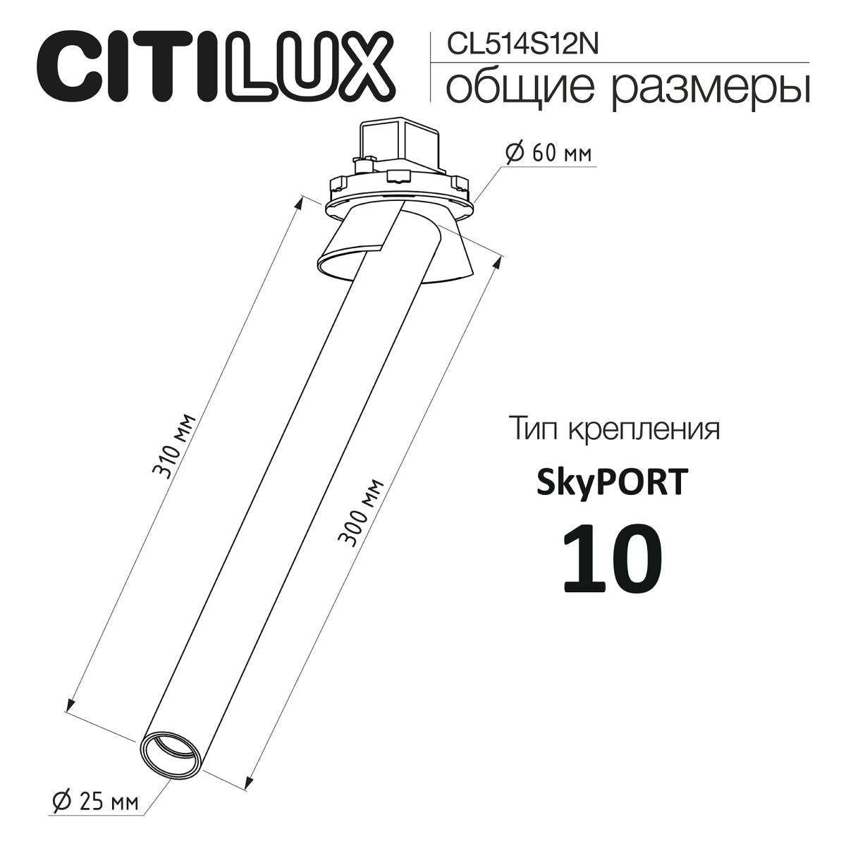 Встраиваемый спот Citilux Stek CL514S12N