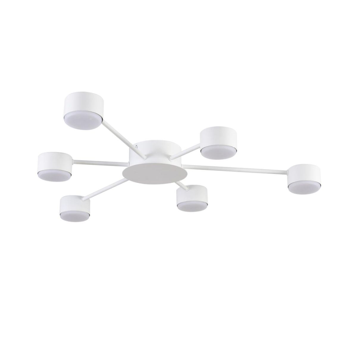 Потолочная люстра Lumion Comfi Torina 8343/6C