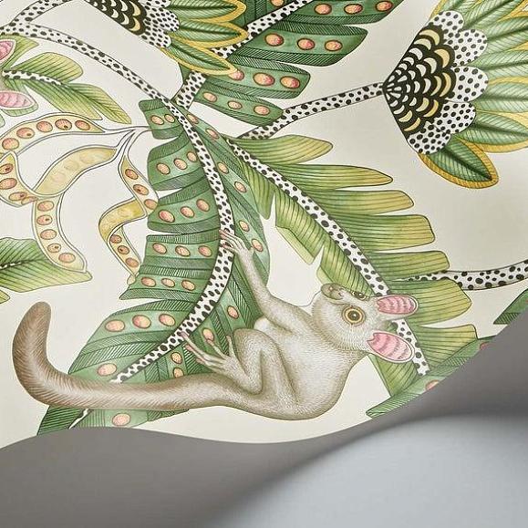 Обои Cole & Son 119/7035 Bush Baby