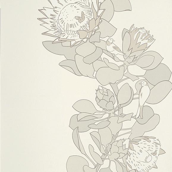 Обои Paint & Paper Library 0393PTSLATE Protea Trail Slate