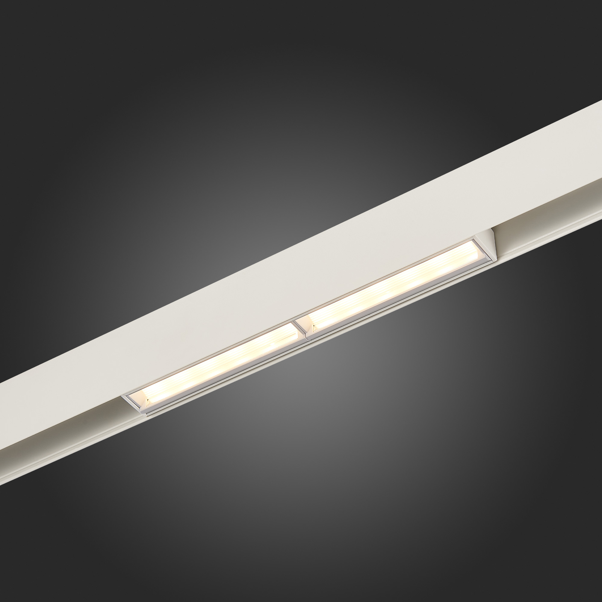 Трековый светильник ST Luce Skyline 48 ST804.546.12
