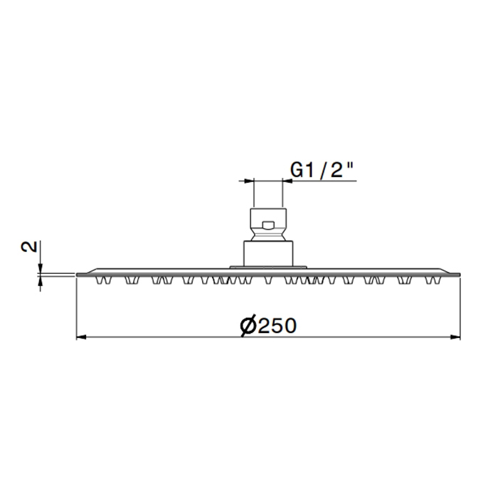 Newform X-STEEL 316 Верхний душ, d25см, без кронштейна, G1/2" , цвет: нержавеющая сталь
