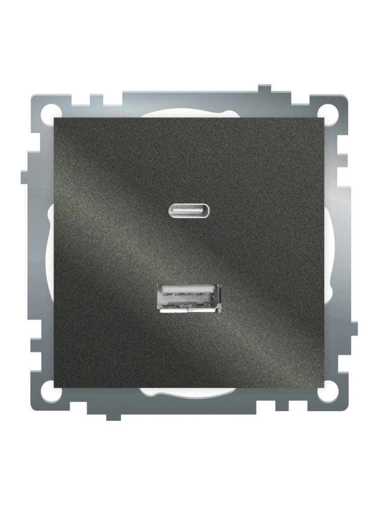 Розетка 2-местная USB + type C Stekker Катрин GLS10-7116-06 50052