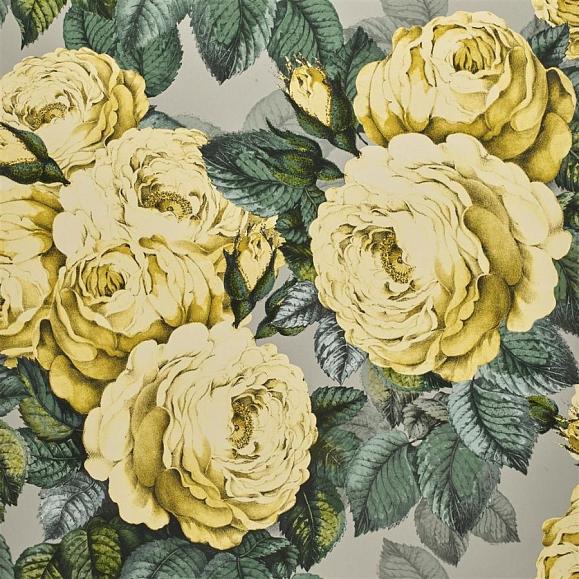 Обои John Derian PJD6002/05 The Rose Mimosa