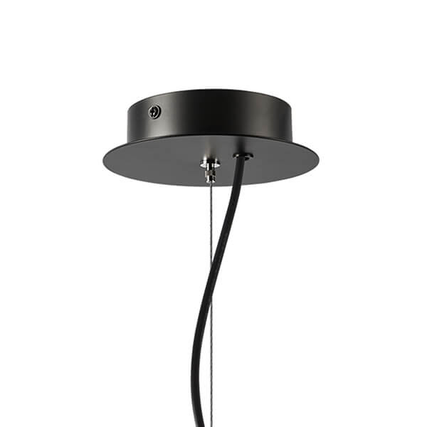 Подвесная люстра Lightstar RAGNO 733247