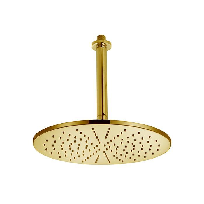 Cisal Shower Верхний душ, D30см, с потолочным держателем L18см, цвет: золото брашированное